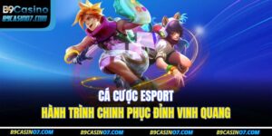 Cá cược Esport – Hành trình chinh phục đỉnh vinh quang 7 cá cược Esport
