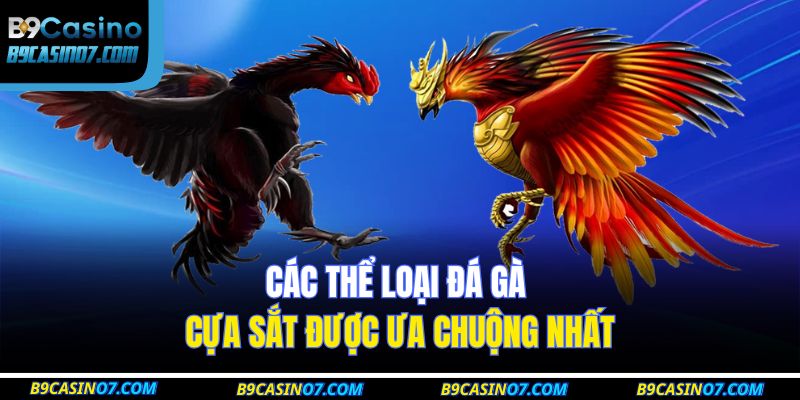 Các thể loại đá gà cựa sắt được ưa chuộng nhất