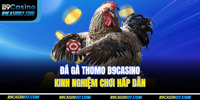 đá gà thomo B9CASINO