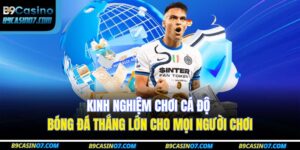 Kinh Nghiệm Chơi Cá Độ Bóng Đá Thắng Lớn Cho Mọi Người Chơi 15 cá độ bóng đá