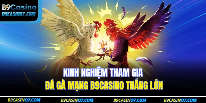 đá gà mạng B9CASINO