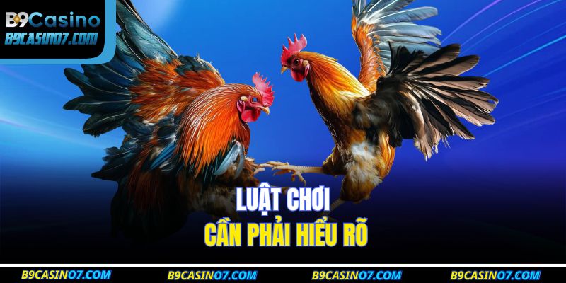 Luật chơi cần phải hiểu rõ