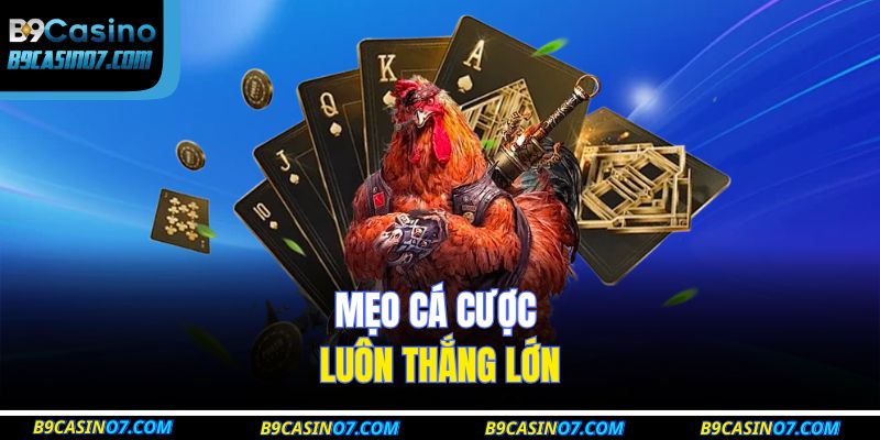 Mẹo cá cược luôn thắng lớn