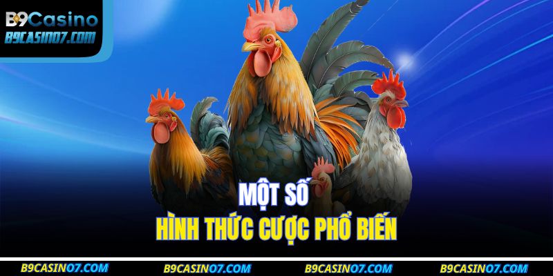 Một số hình thức cược phổ biến