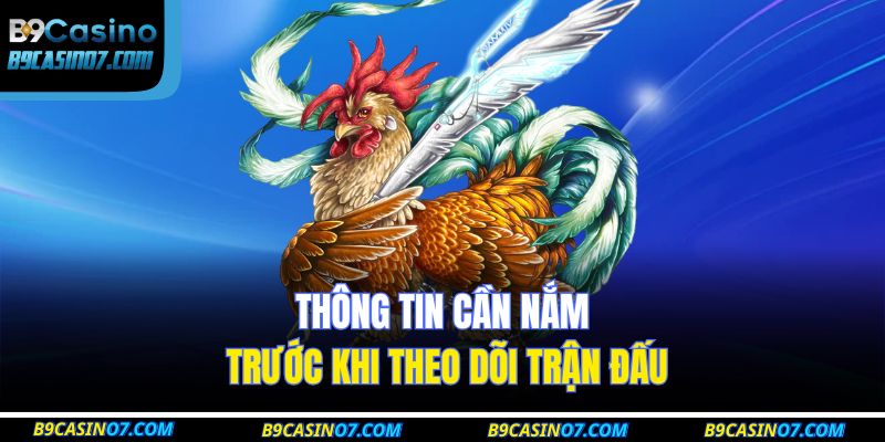 Thông tin cần nắm trước khi theo dõi trận đấu