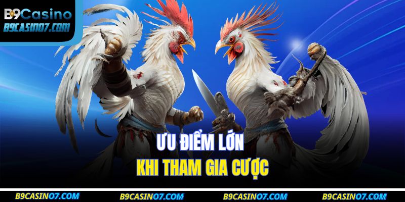Kinh Nghiệm Tham Gia Đá Gà Mạng B9casino Thắng Lớn 3 Ưu điểm lớn khi tham gia cược