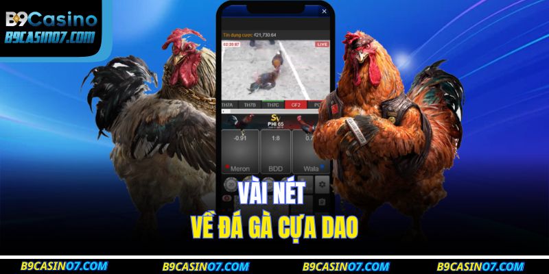 Vài nét về đá gà cựa dao